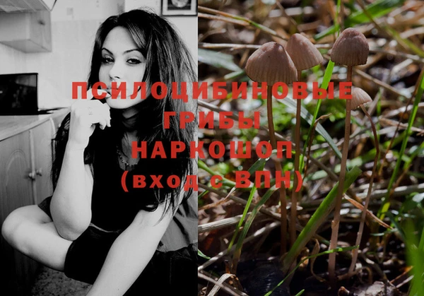 стафф Армянск