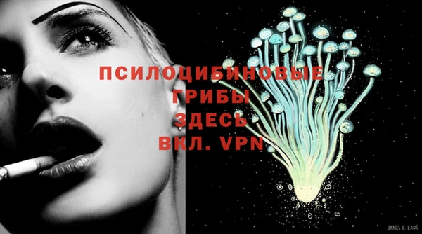 ALPHA-PVP Аркадак