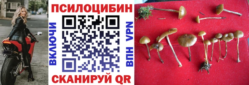 Галлюциногенные грибы Magic Shrooms  Чудово 